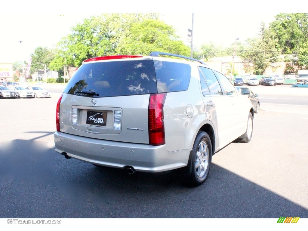 2008 SRX 4 V6 AWD - Light Platinum / Cashmere/Cocoa photo #9