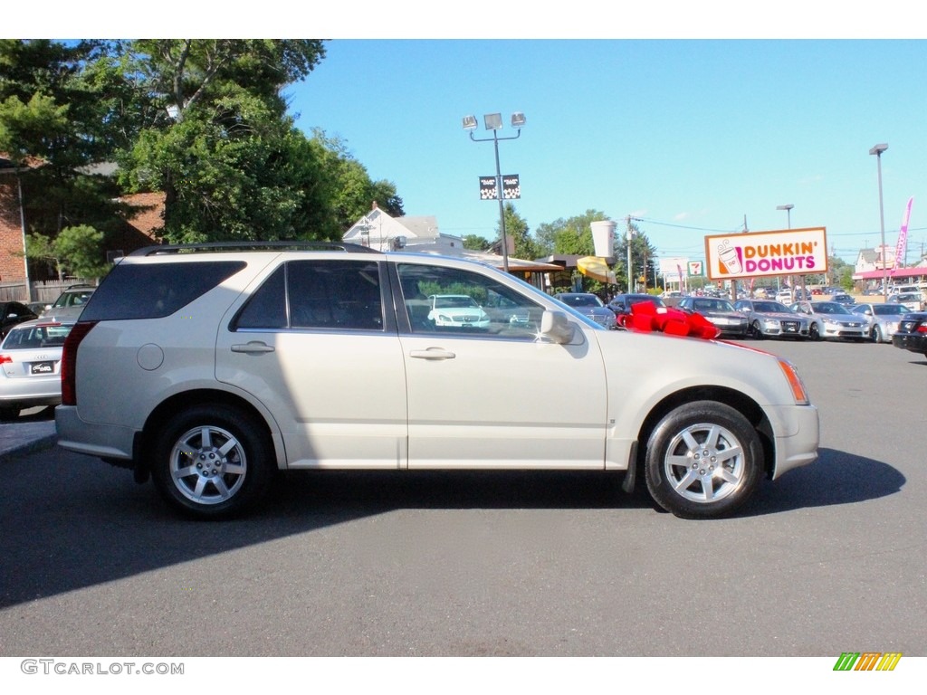 2008 SRX 4 V6 AWD - Light Platinum / Cashmere/Cocoa photo #10
