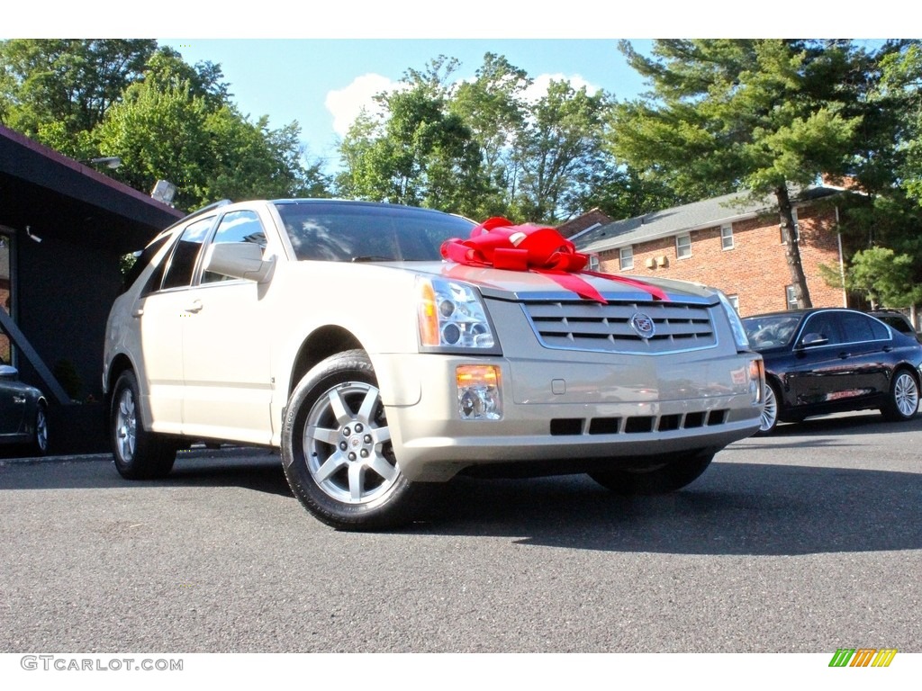 2008 SRX 4 V6 AWD - Light Platinum / Cashmere/Cocoa photo #11