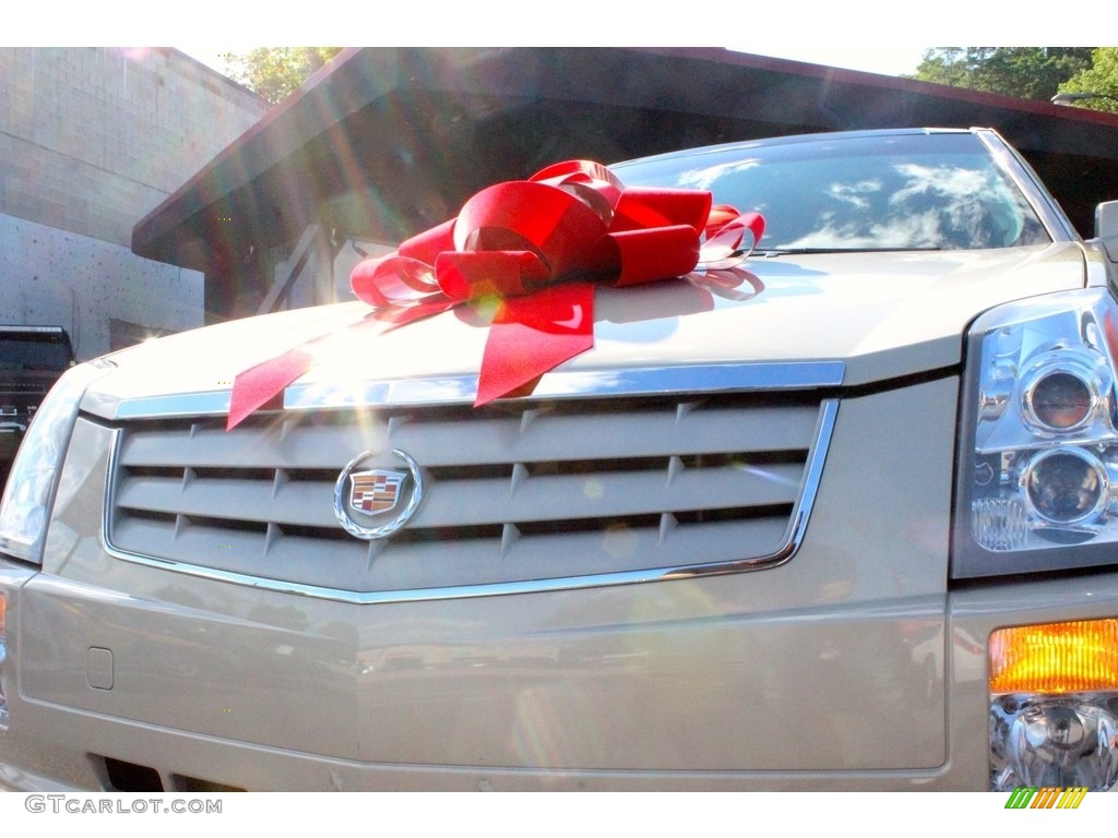 2008 SRX 4 V6 AWD - Light Platinum / Cashmere/Cocoa photo #12