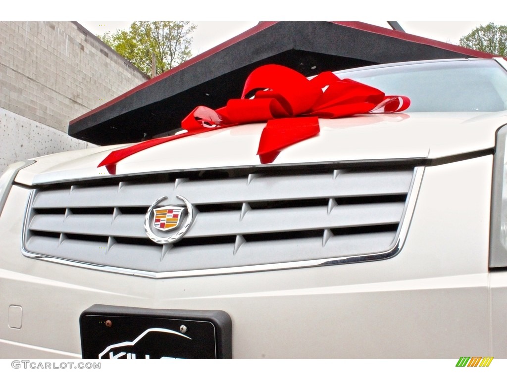 2006 SRX V6 - White Diamond / Cashmere photo #13