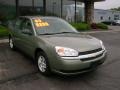 2005 Silver Green Metallic Chevrolet Malibu LS V6 Sedan  photo #3