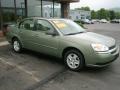 2005 Silver Green Metallic Chevrolet Malibu LS V6 Sedan  photo #4