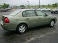 2005 Silver Green Metallic Chevrolet Malibu LS V6 Sedan  photo #6