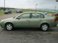 2005 Silver Green Metallic Chevrolet Malibu LS V6 Sedan  photo #12