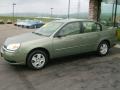 2005 Silver Green Metallic Chevrolet Malibu LS V6 Sedan  photo #13