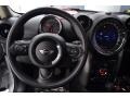 Crystal Silver Metallic - Countryman Cooper Photo No. 28
