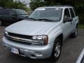 Silverstone Metallic - TrailBlazer LS Photo No. 1