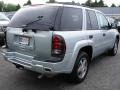 Silverstone Metallic - TrailBlazer LS Photo No. 4