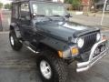 2002 Steel Blue Pearl Jeep Wrangler Sport 4x4  photo #5