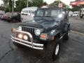 2002 Steel Blue Pearl Jeep Wrangler Sport 4x4  photo #18