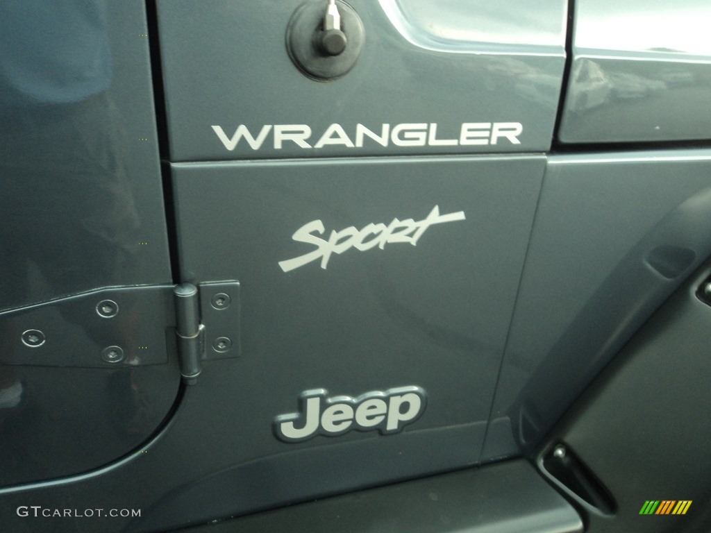 2002 Wrangler Sport 4x4 - Steel Blue Pearl / Agate Black photo #21