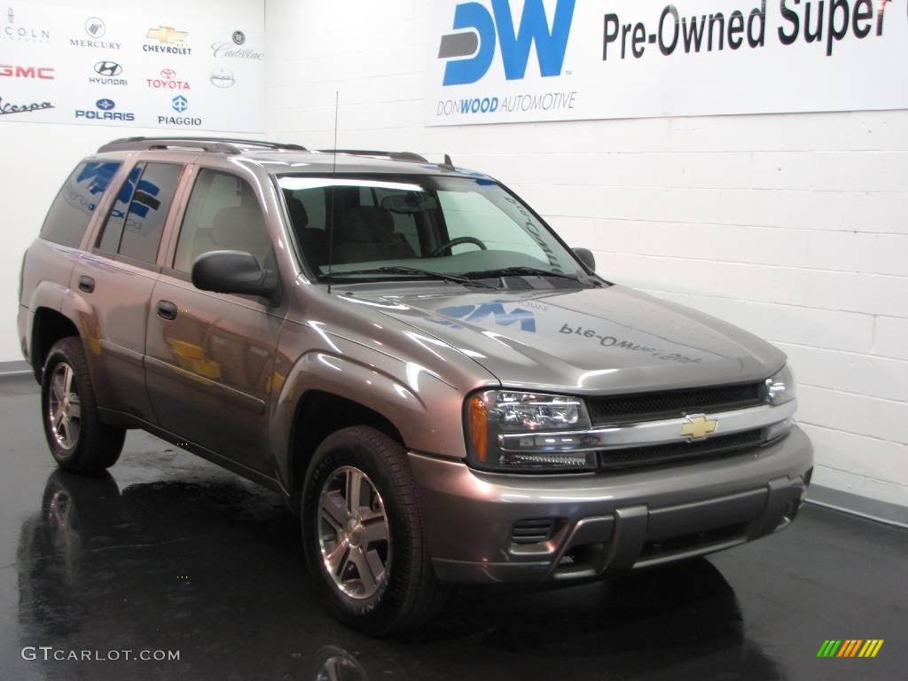 2006 TrailBlazer LS 4x4 - Graystone Metallic / Light Gray photo #1