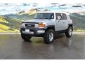 Titanium Metallic - FJ Cruiser 4WD Photo No. 5