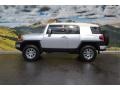 Titanium Metallic - FJ Cruiser 4WD Photo No. 6