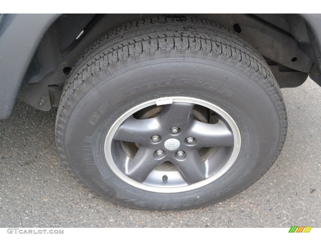 2004 Wrangler X 4x4 - Black / Dark Slate Gray photo #9