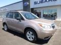 Burnished Bronze Metallic - Forester 2.5i Photo No. 1