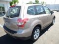 Burnished Bronze Metallic - Forester 2.5i Photo No. 9