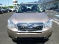 Burnished Bronze Metallic - Forester 2.5i Photo No. 12