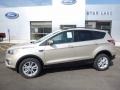 2017 White Gold Ford Escape SE 4WD  photo #1