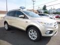 2017 White Gold Ford Escape SE 4WD  photo #3