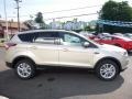 2017 White Gold Ford Escape SE 4WD  photo #4