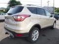 2017 White Gold Ford Escape SE 4WD  photo #6