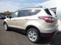 2017 White Gold Ford Escape SE 4WD  photo #9