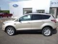 2017 White Gold Ford Escape SE 4WD  photo #10