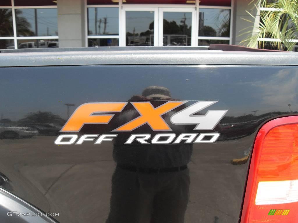 2004 F150 FX4 SuperCrew 4x4 - Black / Black/Medium Flint photo #5