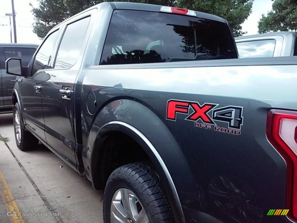2016 F150 Platinum SuperCrew 4x4 - Magnetic / Platinum Black photo #3