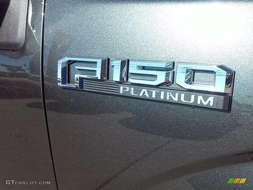2016 F150 Platinum SuperCrew 4x4 - Magnetic / Platinum Black photo #18