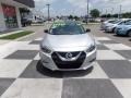 Brilliant Silver - Maxima Platinum Photo No. 2