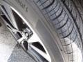 Brilliant Silver - Maxima Platinum Photo No. 8