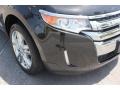 2013 Tuxedo Black Metallic Ford Edge Limited  photo #10