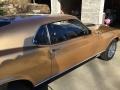 Gold Priza Teek - Mustang Mach 1 Photo No. 2