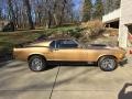 Gold Priza Teek - Mustang Mach 1 Photo No. 5