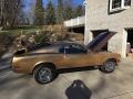 Gold Priza Teek - Mustang Mach 1 Photo No. 6