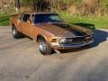 Gold Priza Teek - Mustang Mach 1 Photo No. 7