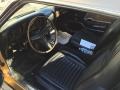 Gold Priza Teek - Mustang Mach 1 Photo No. 18