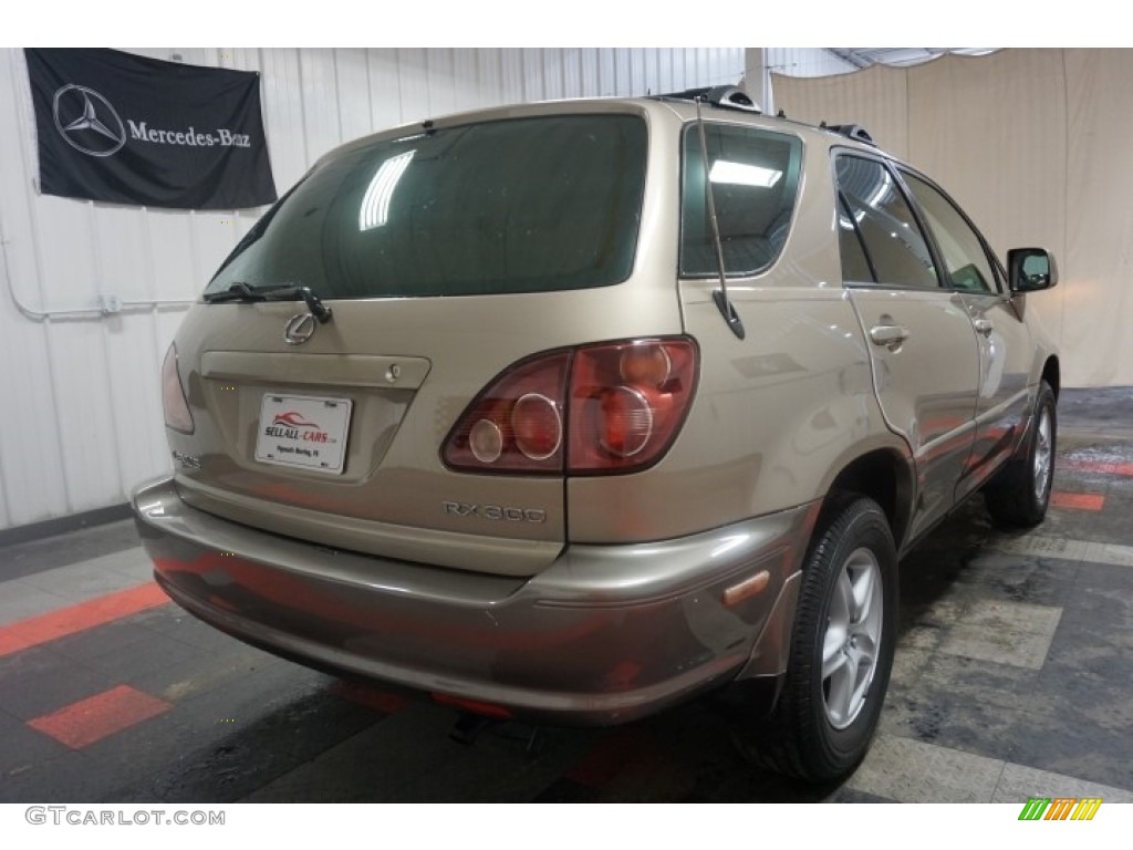 1999 RX 300 AWD - Burnished Gold Metallic / Ivory photo #8