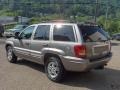 1999 Bright Platinum Metallic Jeep Grand Cherokee Limited 4x4  photo #6