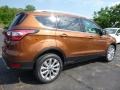 2017 Canyon Ridge Ford Escape Titanium 4WD  photo #2