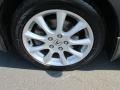 Carbon Gray Pearl - TSX Sedan Photo No. 22