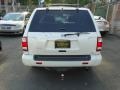 2004 Glacier Pearl Nissan Pathfinder LE Platinum 4x4  photo #6