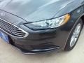 2017 Magnetic Ford Fusion SE  photo #17