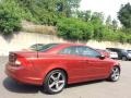 Flamenco Red Metallic - C70 T5 Photo No. 4