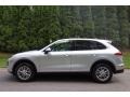 Rhodium Silver Metallic - Cayenne  Photo No. 3
