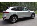 Rhodium Silver Metallic - Cayenne  Photo No. 6