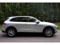 Rhodium Silver Metallic - Cayenne  Photo No. 7